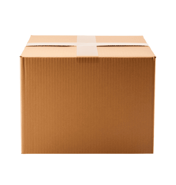 Corrugated Carton