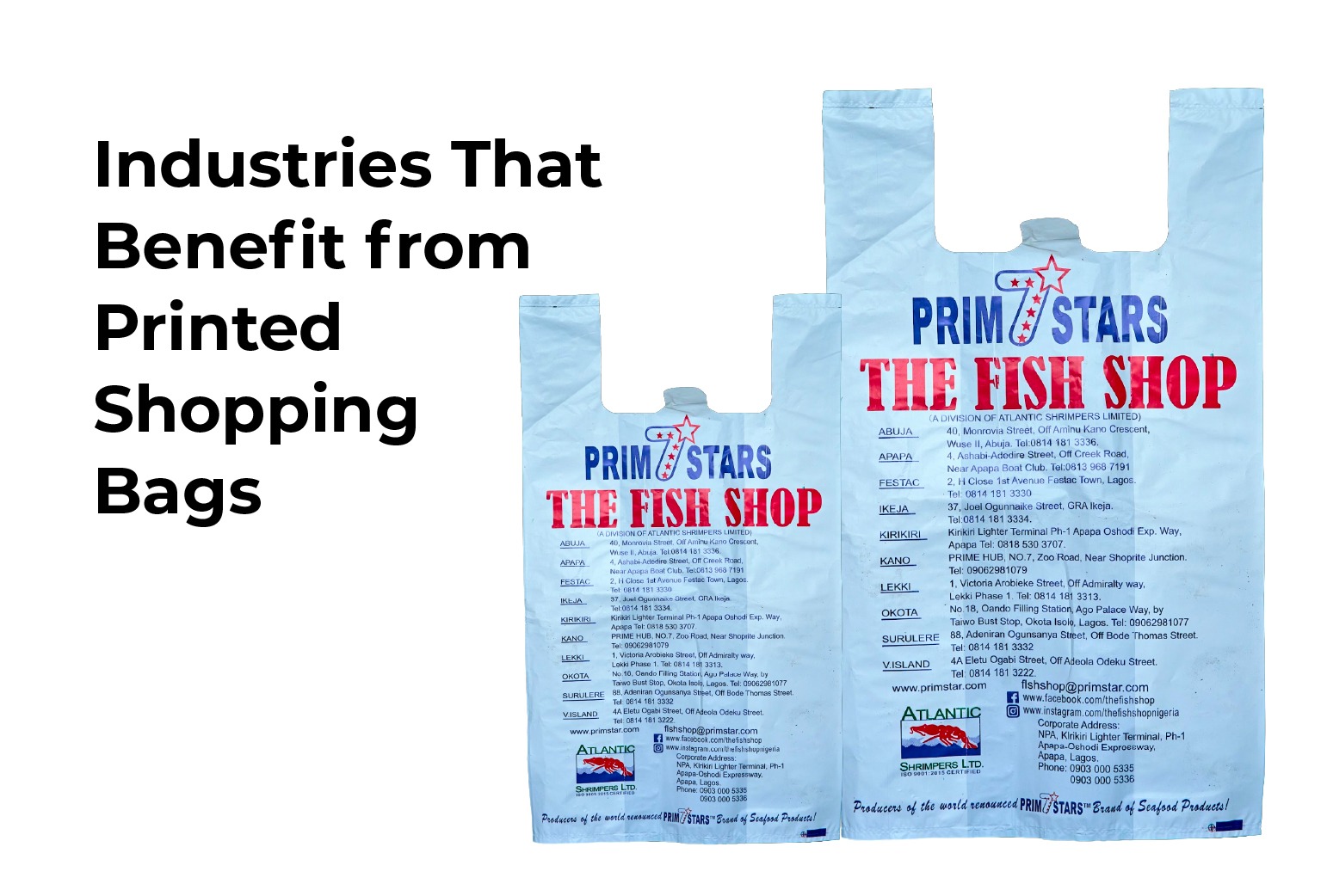 Industries that benefit from printed shopping bags in Nigeria