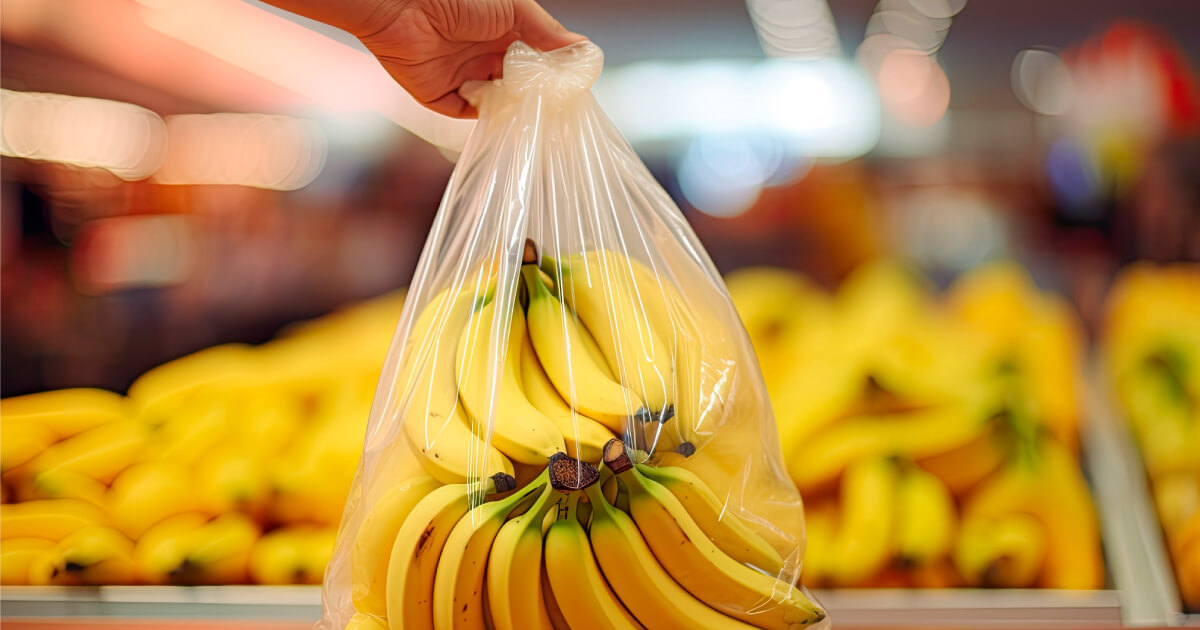 Blog Details Thumbnail